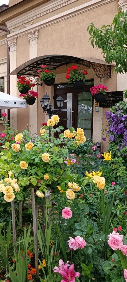 Hotel Casa Domneasca Rarau Câmpulung Moldovenesc Exteriér fotografie